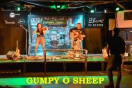 00 20221001 Gumpy O Sheep D75_0273 1MB