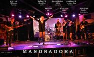 02 2024_02_02 Mandragora KnR NZ6_1533 1MB