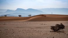 2-oman-prednaska-1-dsc2419-hdr-scaled.jpg